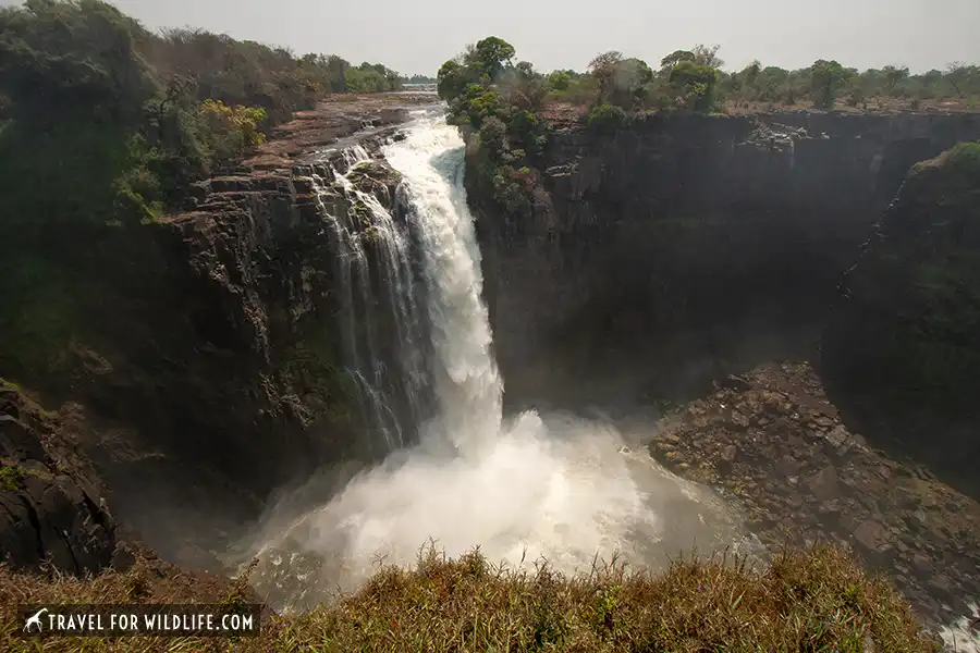 Devil's cataract