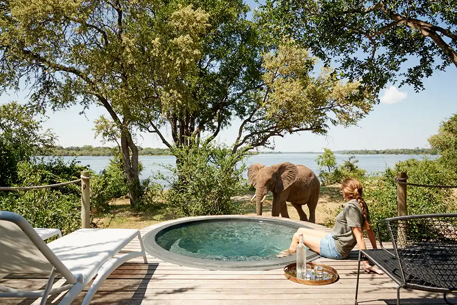 woman by a pool with an elephant approaching